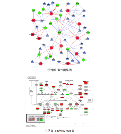 高通量数据库挖掘与网络图构建分析研讨会201911月上海班