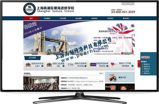 青浦网站建设 青浦企业网站制作 青浦企业建站 青浦网站设计公司