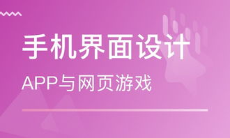 上海网页设计基础课程