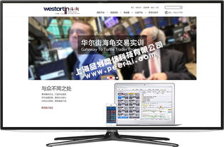青浦网站制作 青浦做网站公司 青浦网站设计公司 青浦网站建设