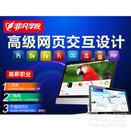 【上海网站开发培训,网页设计培训】-