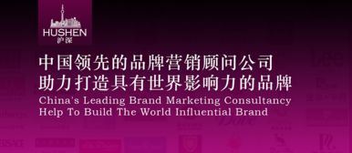 上海十大品牌策划公司 沪琛品牌营销策划公司网页设计