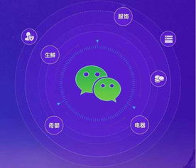 上海网页制作从六个方向分析2018年小程序的发展趋势