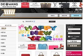 专业网站建设案例分享 上海万脑网络的网站开发服务