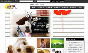 上海网站建设与设计 打造企业数字化门户的关键步骤